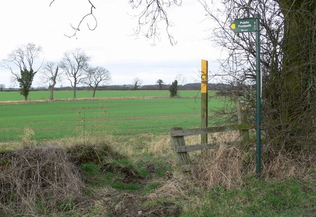 Battle of Bosworth Field